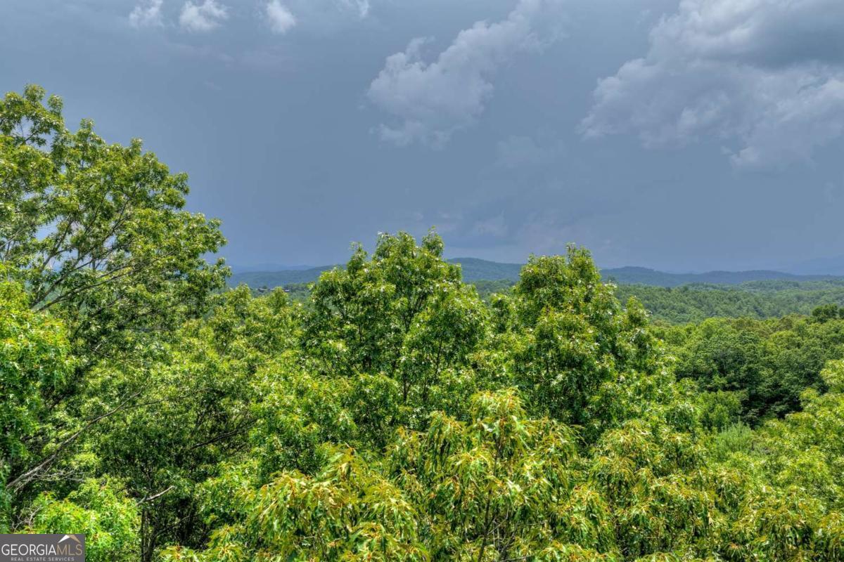 0 Scots Glen Road Mineral Bluff, GA 30559 - Photo 15 of 19