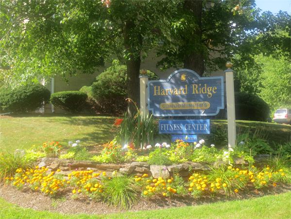 232 Swanson Road, Unit 634 Boxborough, MA 01719 - Photo 23 of 29 a view of a garden from a patio