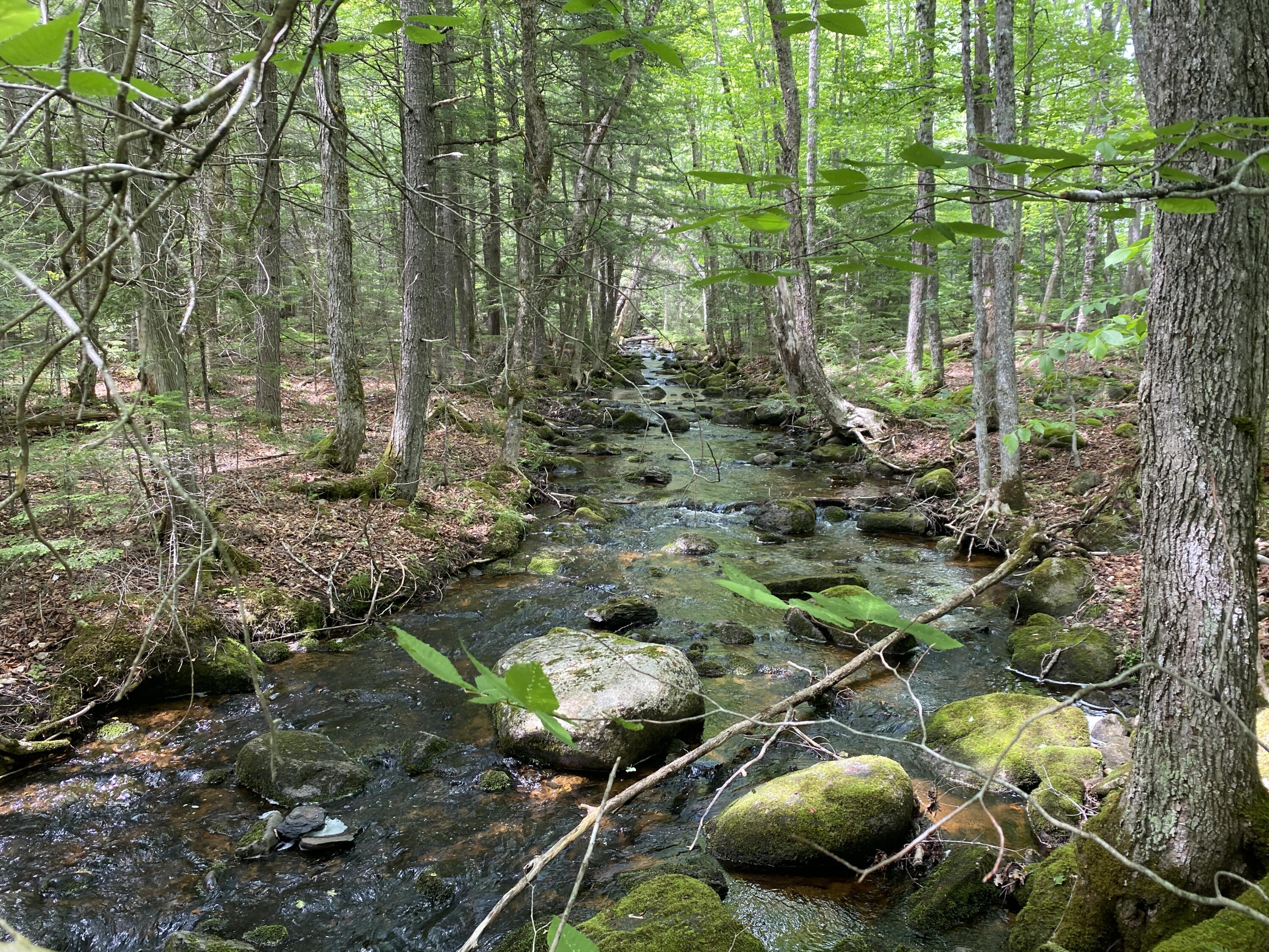 783 Half Township Road Lincoln, ME 04457 - Photo 23 of 24 IMG_23