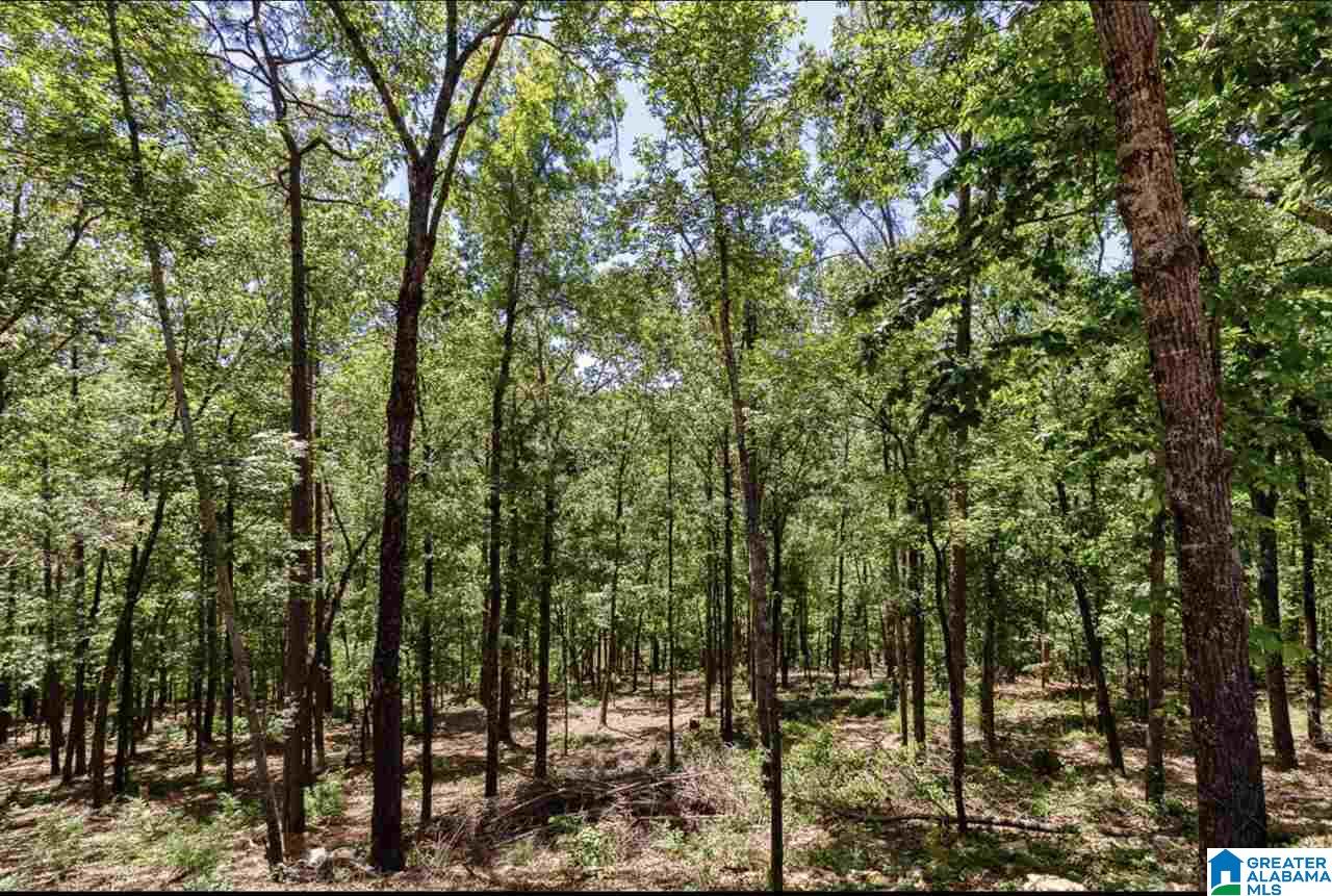 312 Timberview Trail, Unit 36 Chelsea, AL 35043 - Photo 7 of 8