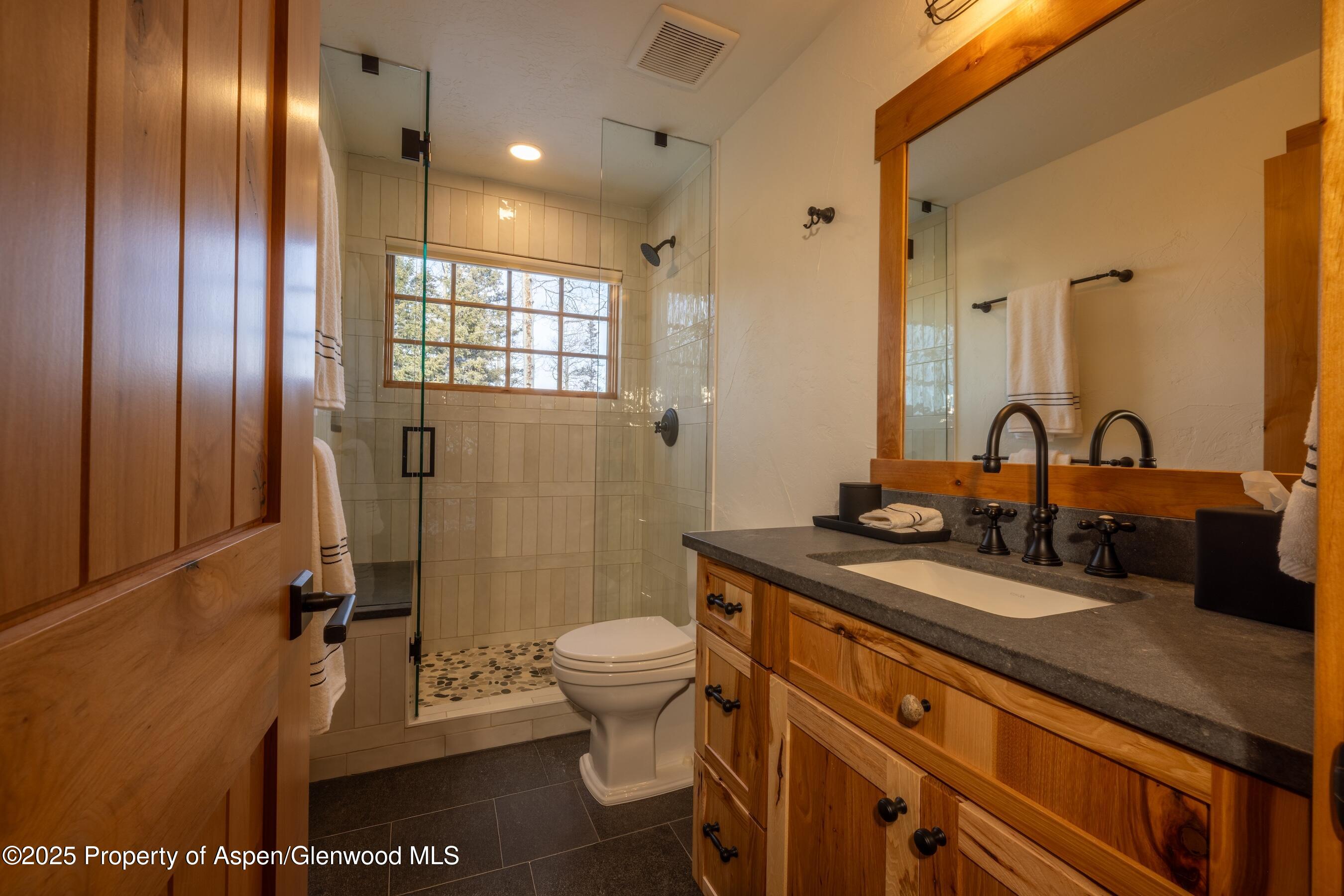 4901 Cimarron Mountain Road Montrose, CO 81403 - Photo 14 of 39 a bathroom with a sink a toilet and shower