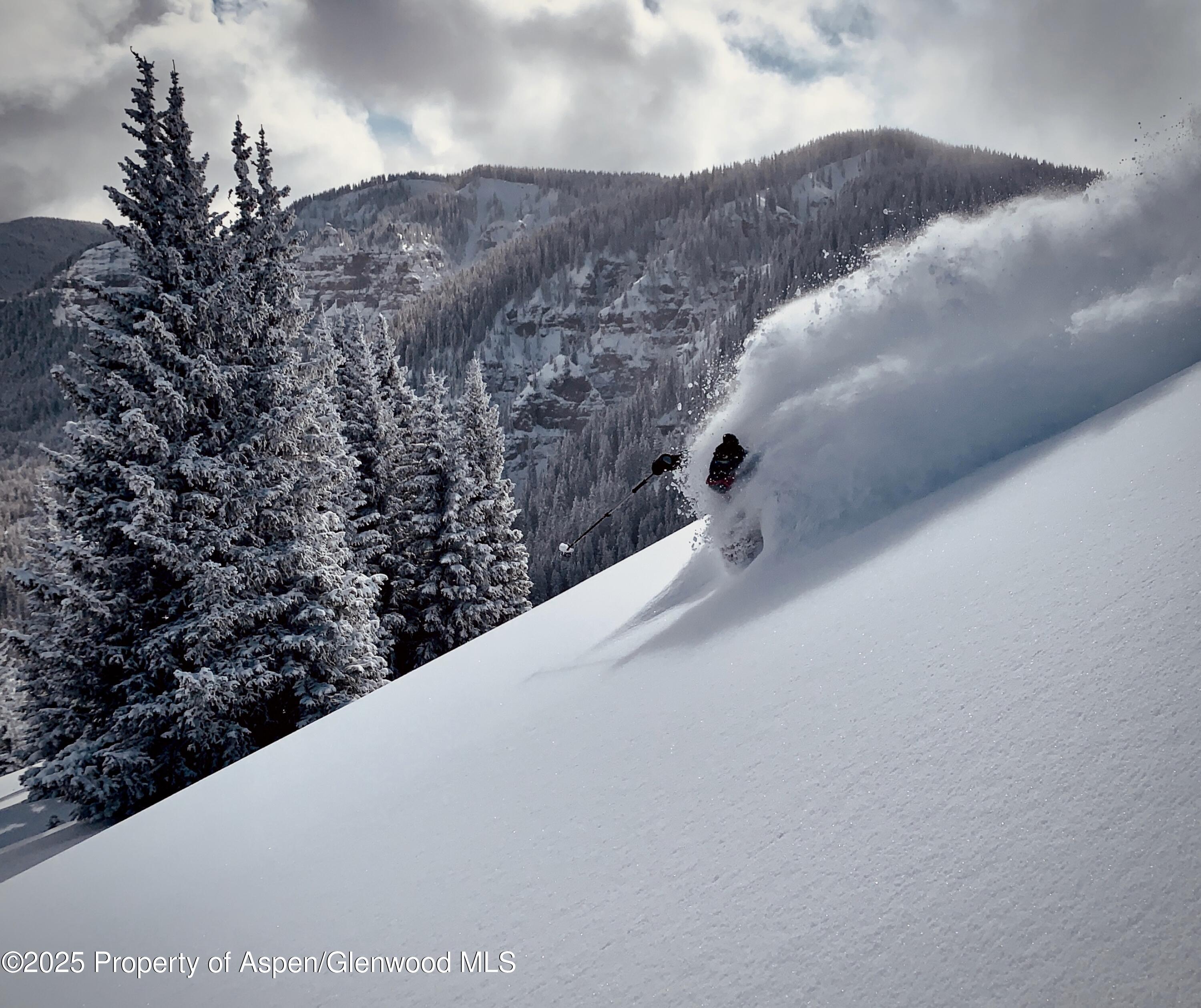 4901 Cimarron Mountain Road Montrose, CO 81403 - Photo 36 of 39 a view of a dry yard with mountains in the background