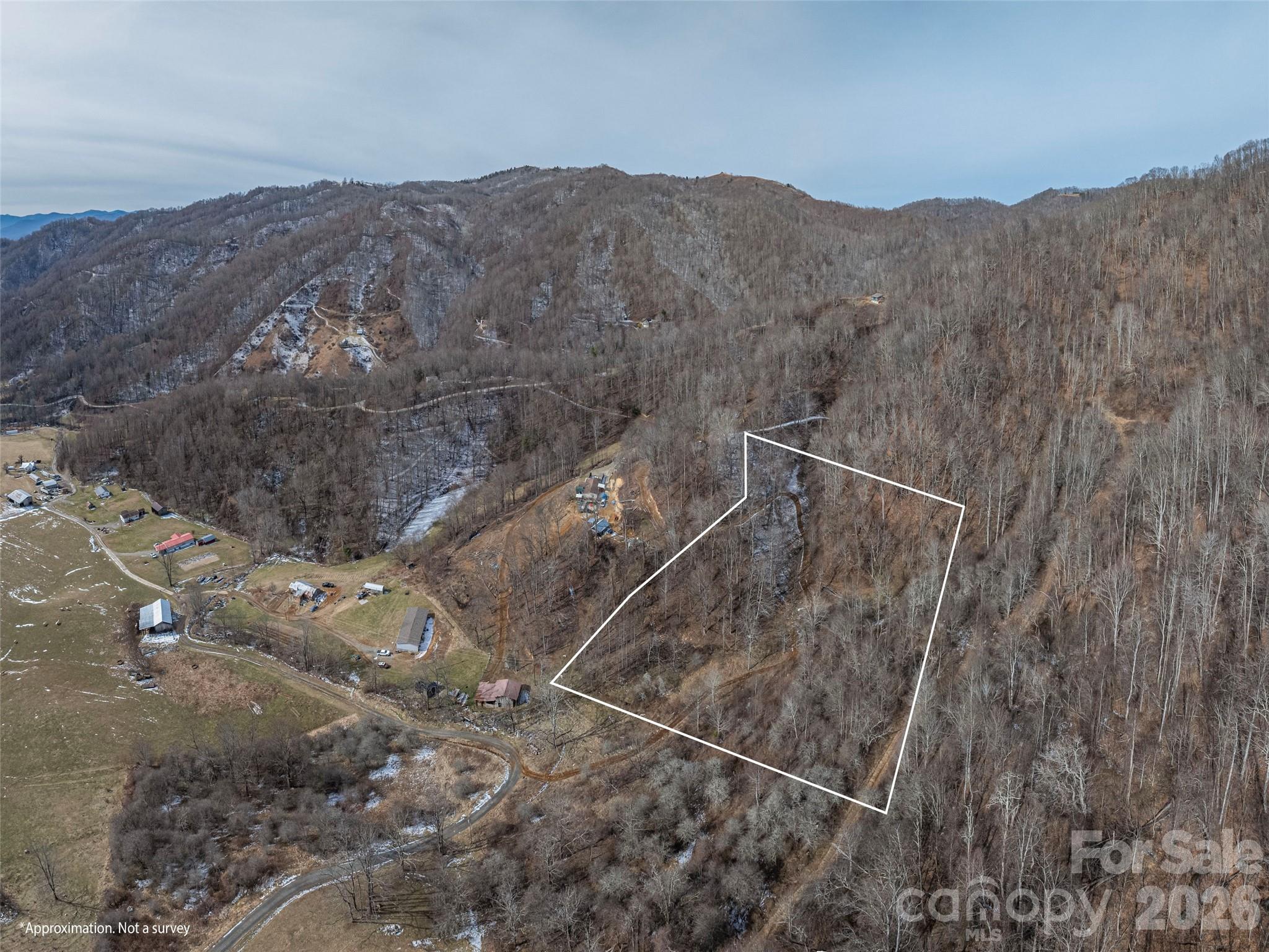 0 Morris Road Clyde, NC 28721 - Photo 3 of 3