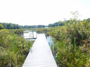 89 Stonedam Island Road Meredith, NH 03253 - Photo 22 of 36
