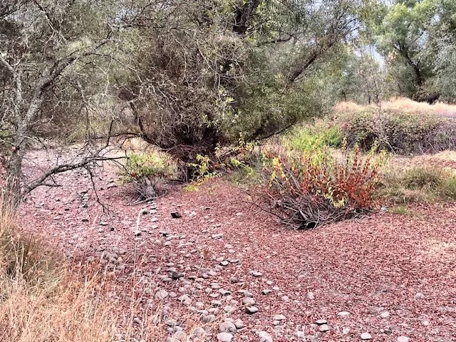 0 Lower Wyandotte Road Oroville, CA 95966 - Photo 11 of 22 a view of a yard