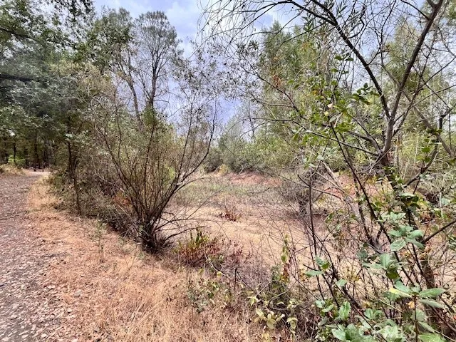 0 Lower Wyandotte Road Oroville, CA 95966 - Photo 15 of 22 a view of a yard covered with snow