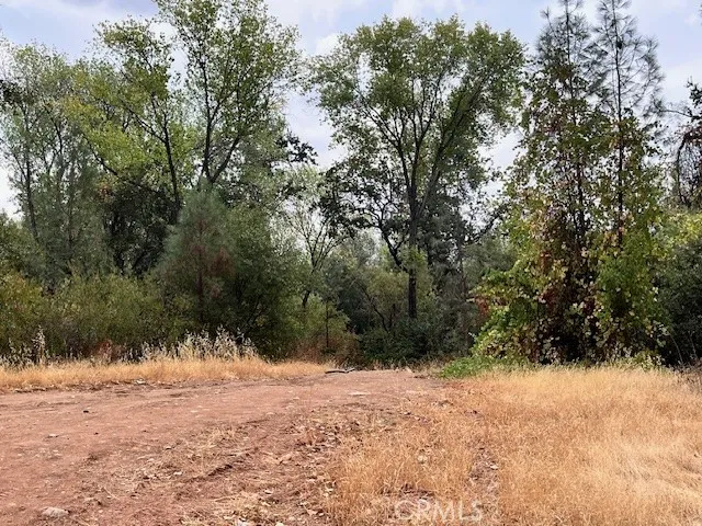 0 Lower Wyandotte Road Oroville, CA 95966 - Photo 19 of 22 a view of mountain view with trees in the background