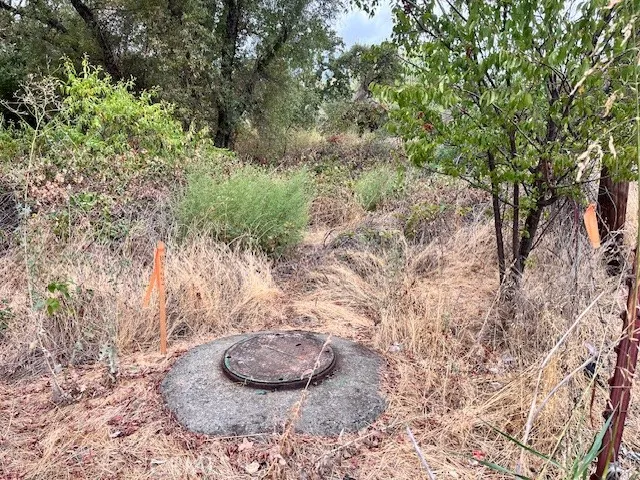 0 Lower Wyandotte Road Oroville, CA 95966 - Photo 3 of 22 a view of a backyard of a house