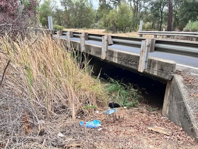0 Lower Wyandotte Road Oroville, CA 95966 - Photo 4 of 22 a view of a yard with plants