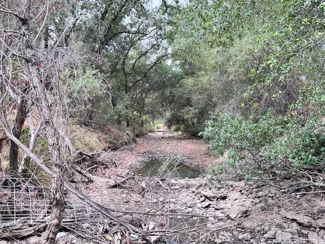 0 Lower Wyandotte Road Oroville, CA 95966 - Photo 9 of 22 a view of a yard with plants and trees