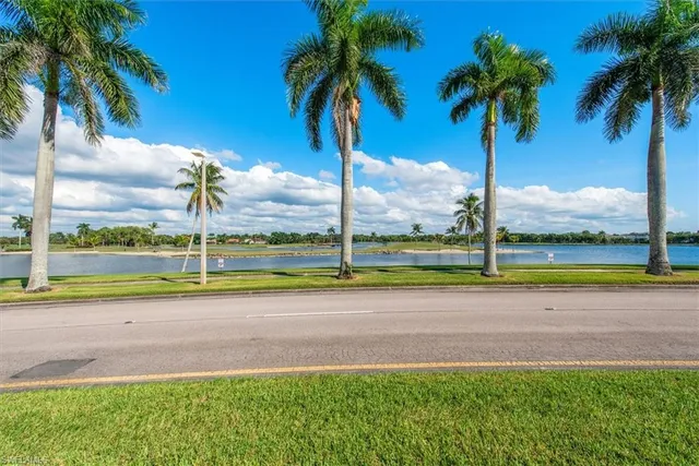 a view of a yard and palm trees