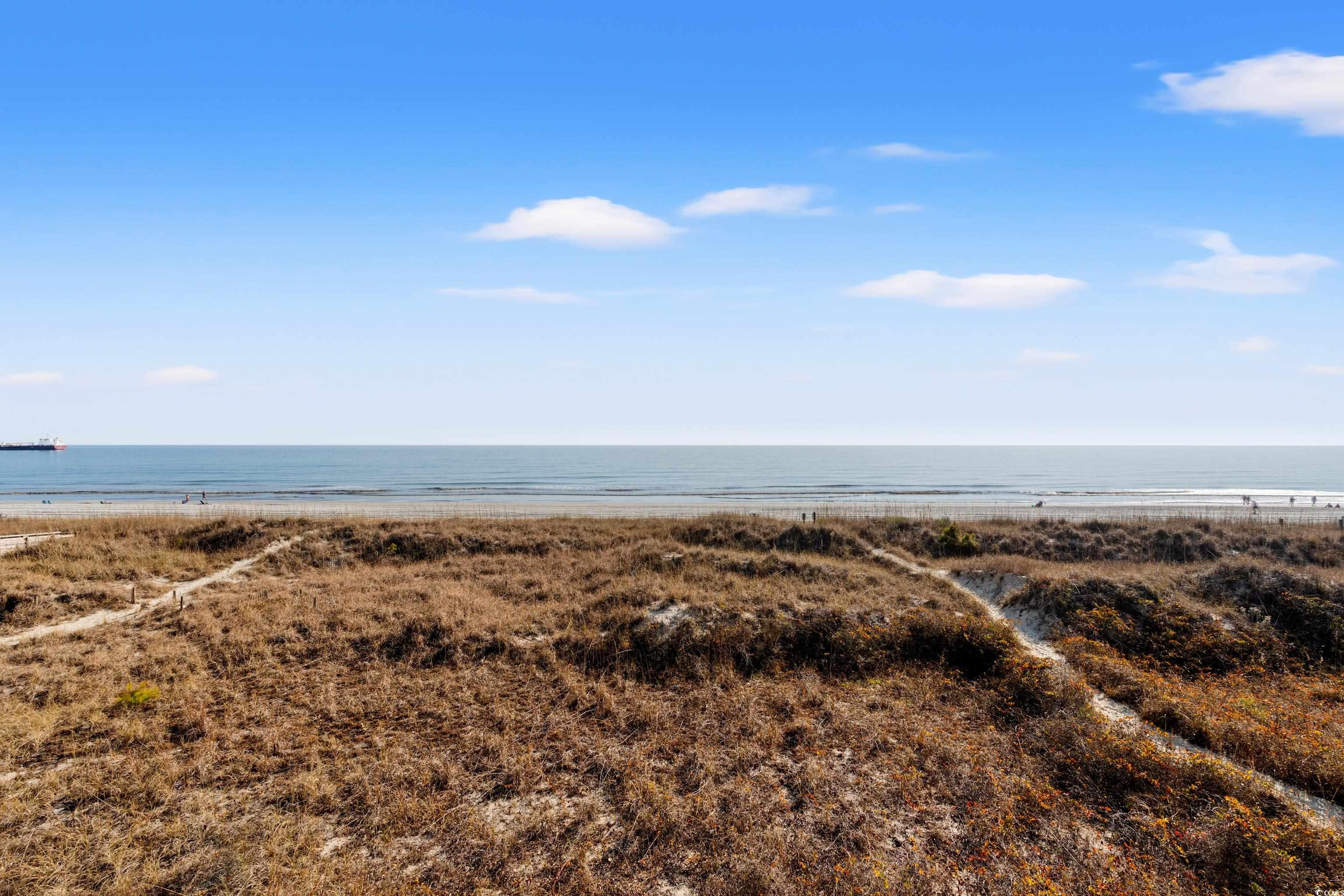 803 South Ocean Boulevard, Unit A3 North Myrtle Beach, SC 29582 - Photo 28 of 33