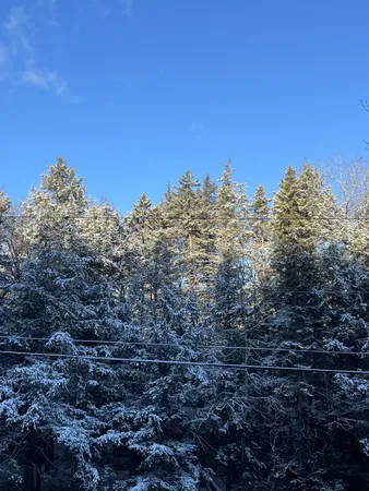 $125,000 | 997 Stratton Arlington Road, Stratton, VT 05360