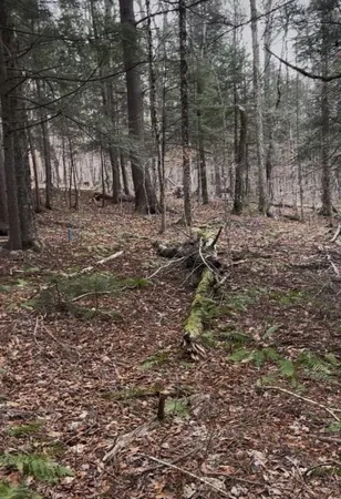 $125,000 | 997 Stratton Arlington Road, Stratton, VT 05360