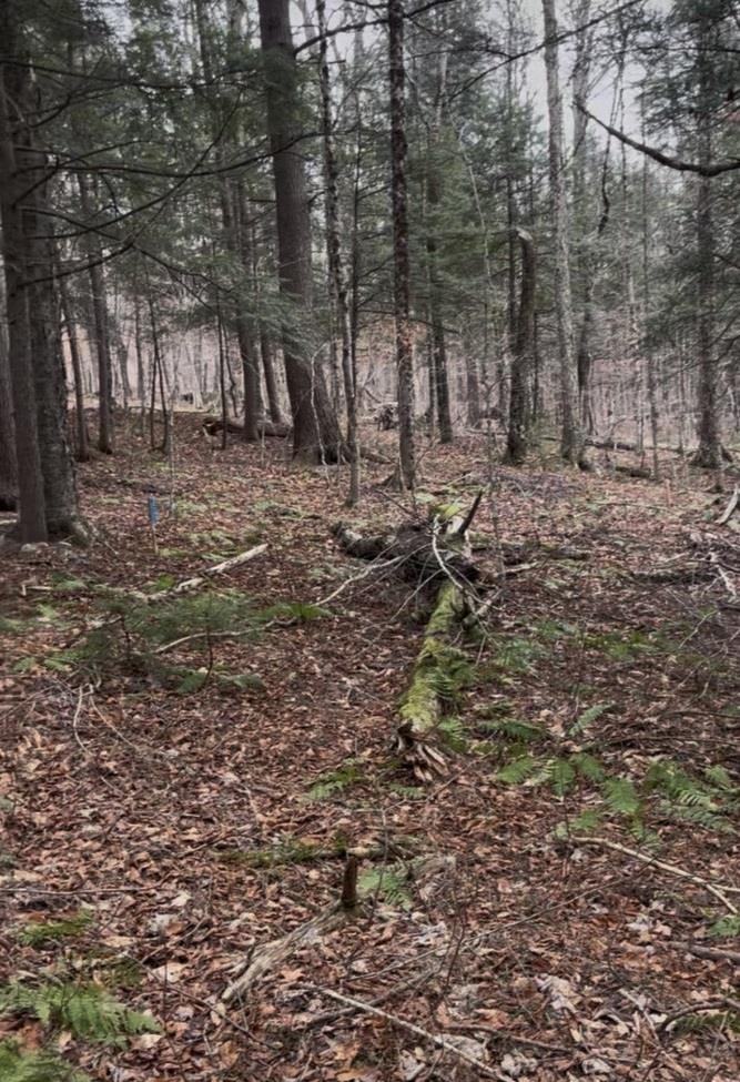 997 Stratton Arlington Road Stratton, VT 05360 - Photo 2 of 3