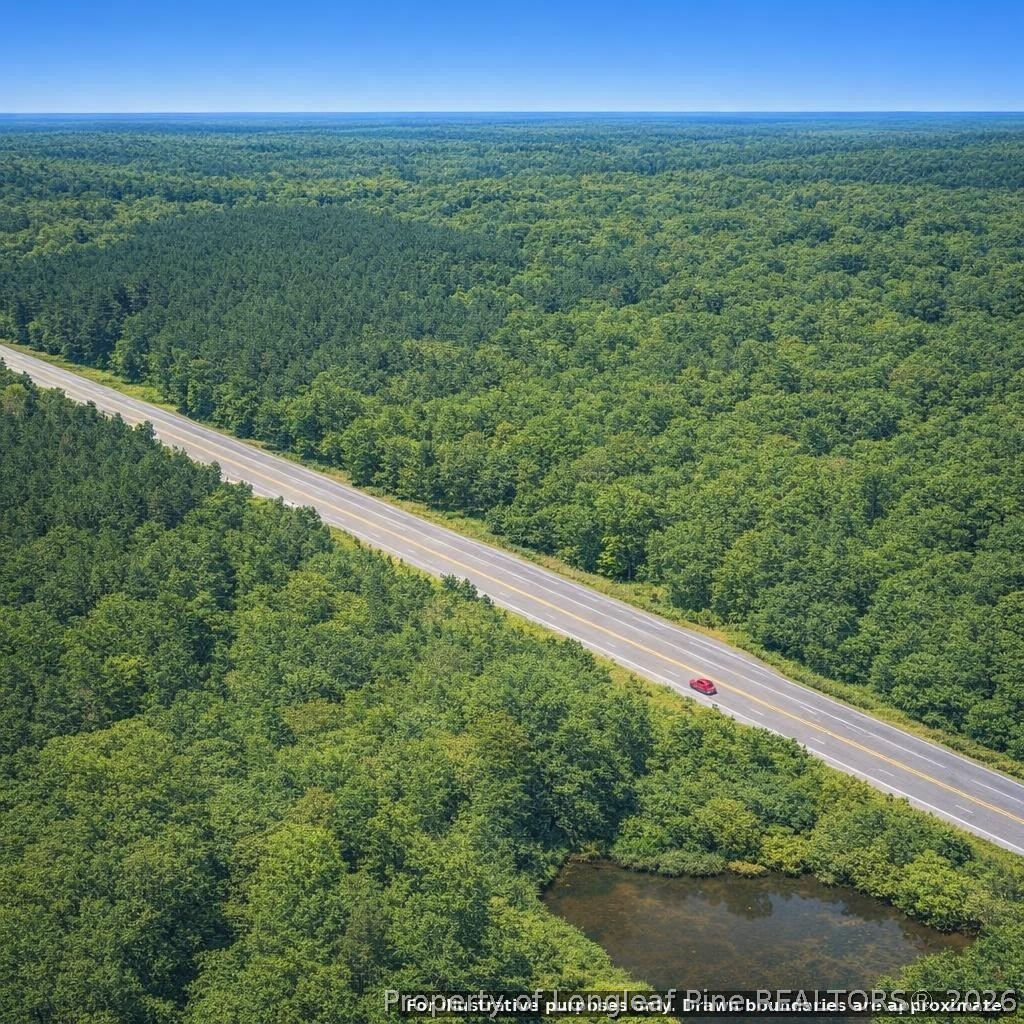 74 Byp E Rockingham Nc 28379 Bypass East Rockingham, NC 28379 - Photo 2 of 8 Gallery Image 2