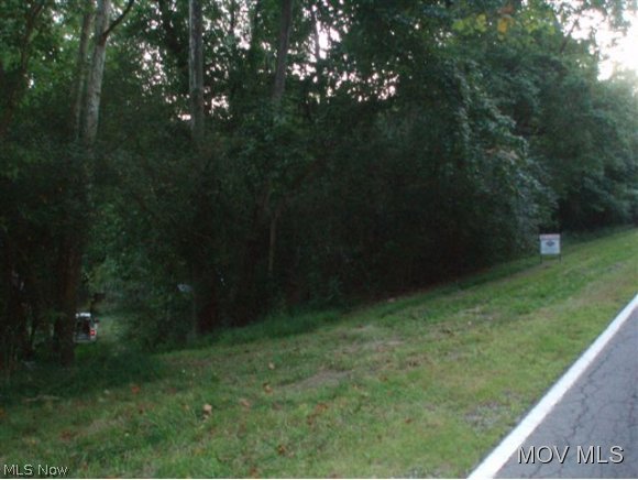 42 Hc 69 Rt 18 Middlebourne, WV 26149 - Photo 3 of 10