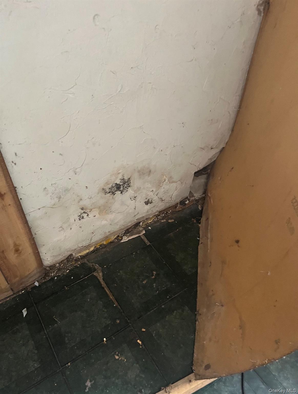 599 North Chodikee Lake Road Highland, NY 12528 - Photo 4 of 4