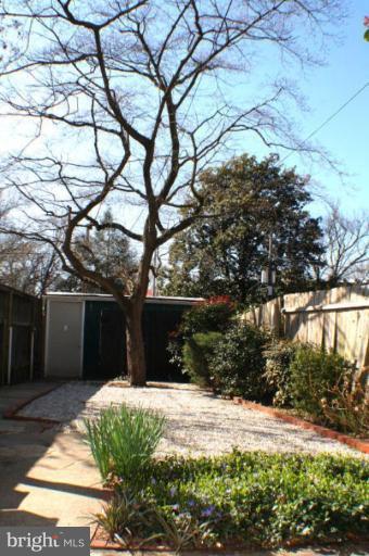 3314 Reservoir Road Northwest Washington, DC 20007 - Photo 4 of 7 a backyard of a house with lots of green space
