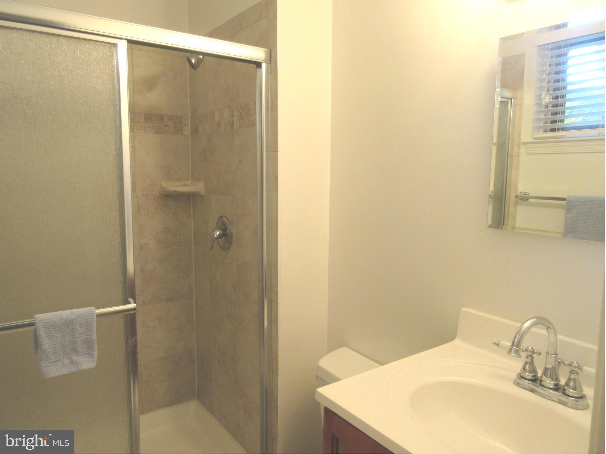5352 Guinea Road Fairfax, VA 22032 - Photo 17 of 29 Bath (Master)