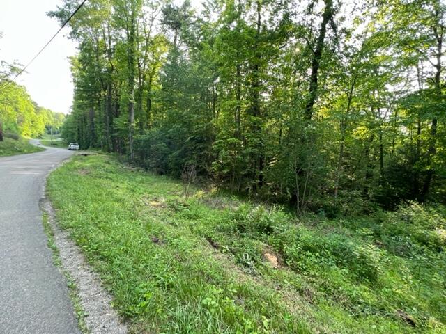 0 Sink Valley Road Butler, TN 37640 - Photo 7 of 10 IMG_0565