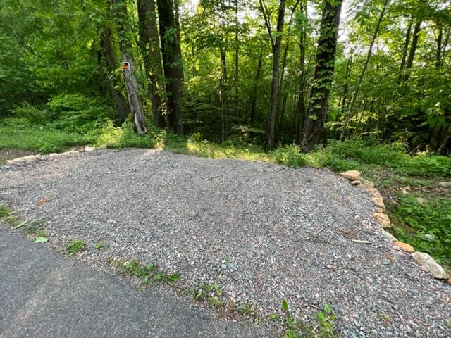 0 Sink Valley Road Butler, TN 37640 - Photo 8 of 10 IMG_0567