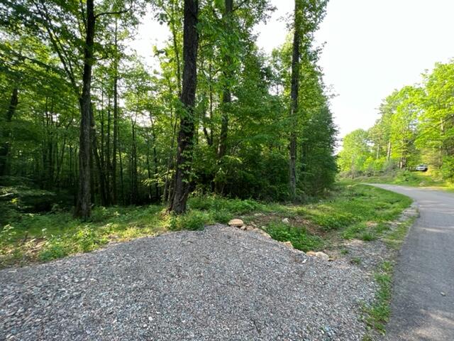 0 Sink Valley Road Butler, TN 37640 - Photo 9 of 10 IMG_0570