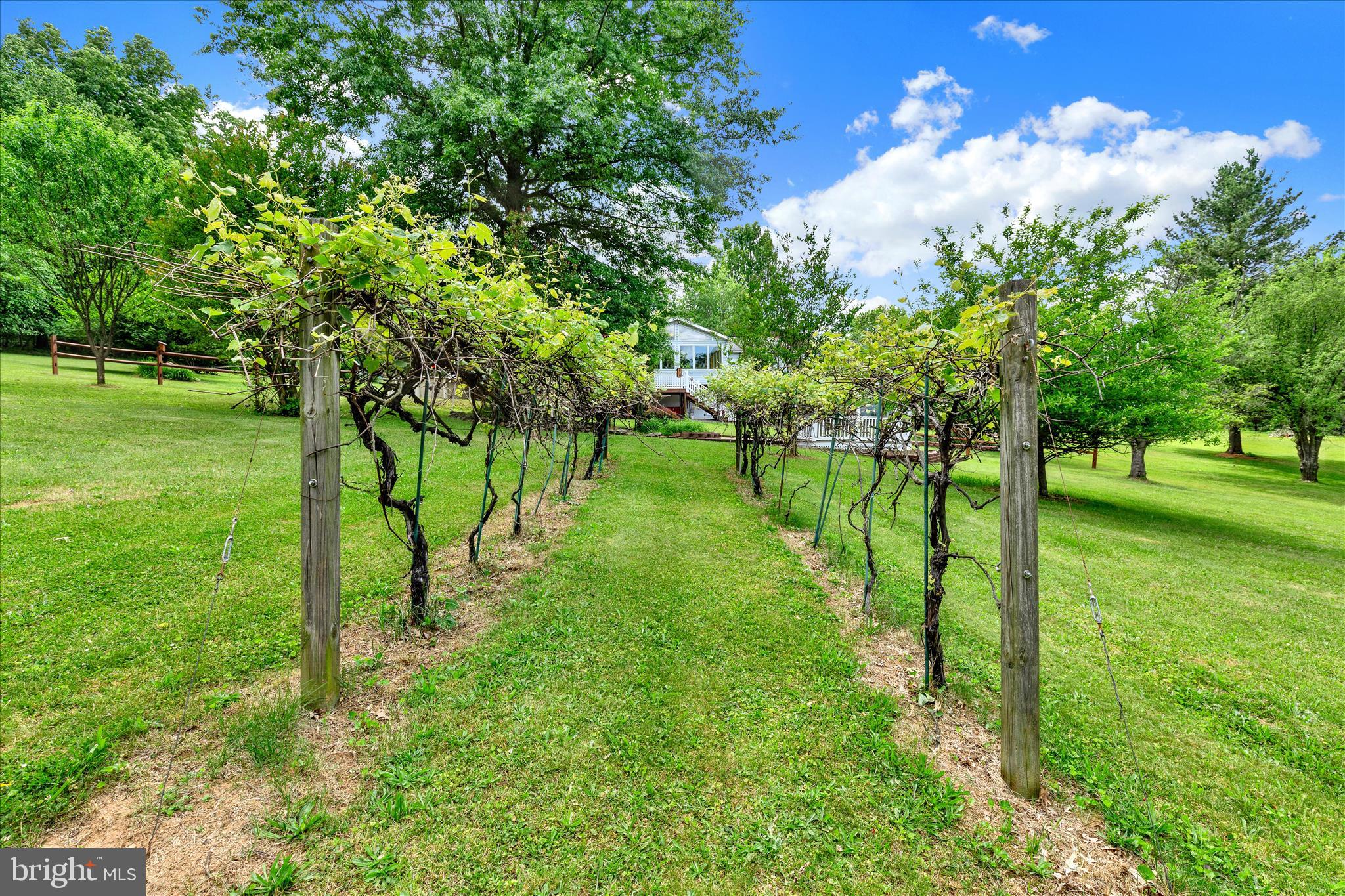 1149 Fawn Grove Road New Park, PA 17352 - Photo 40 of 53