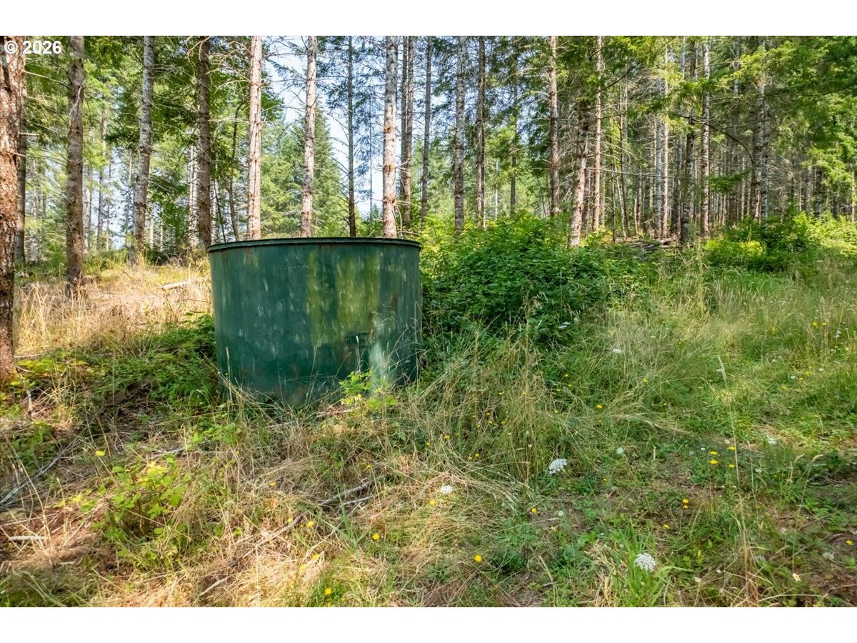 41662 Grover Road Blodgett, OR 97326 - Photo 4 of 20 Gallery Image 4