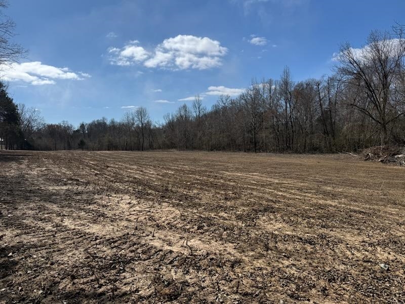 13-acres Burnett Road Williston, TN 38076 - Photo 11 of 11 a view of a grassy field