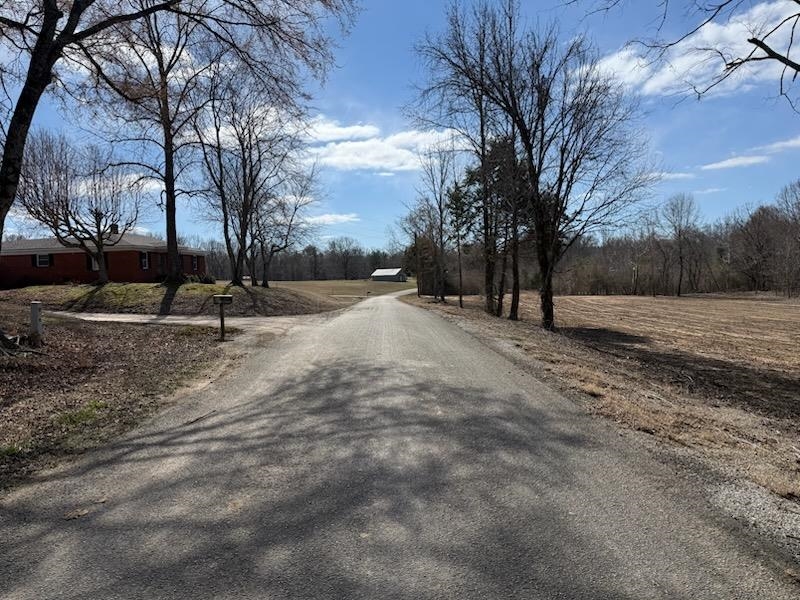 13-acres Burnett Road Williston, TN 38076 - Photo 6 of 11 a view of dirt yard with a large tree
