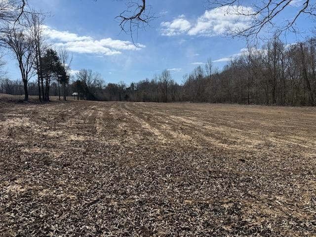 13-acres Burnett Road Williston, TN 38076 - Photo 10 of 11 a view of a yard