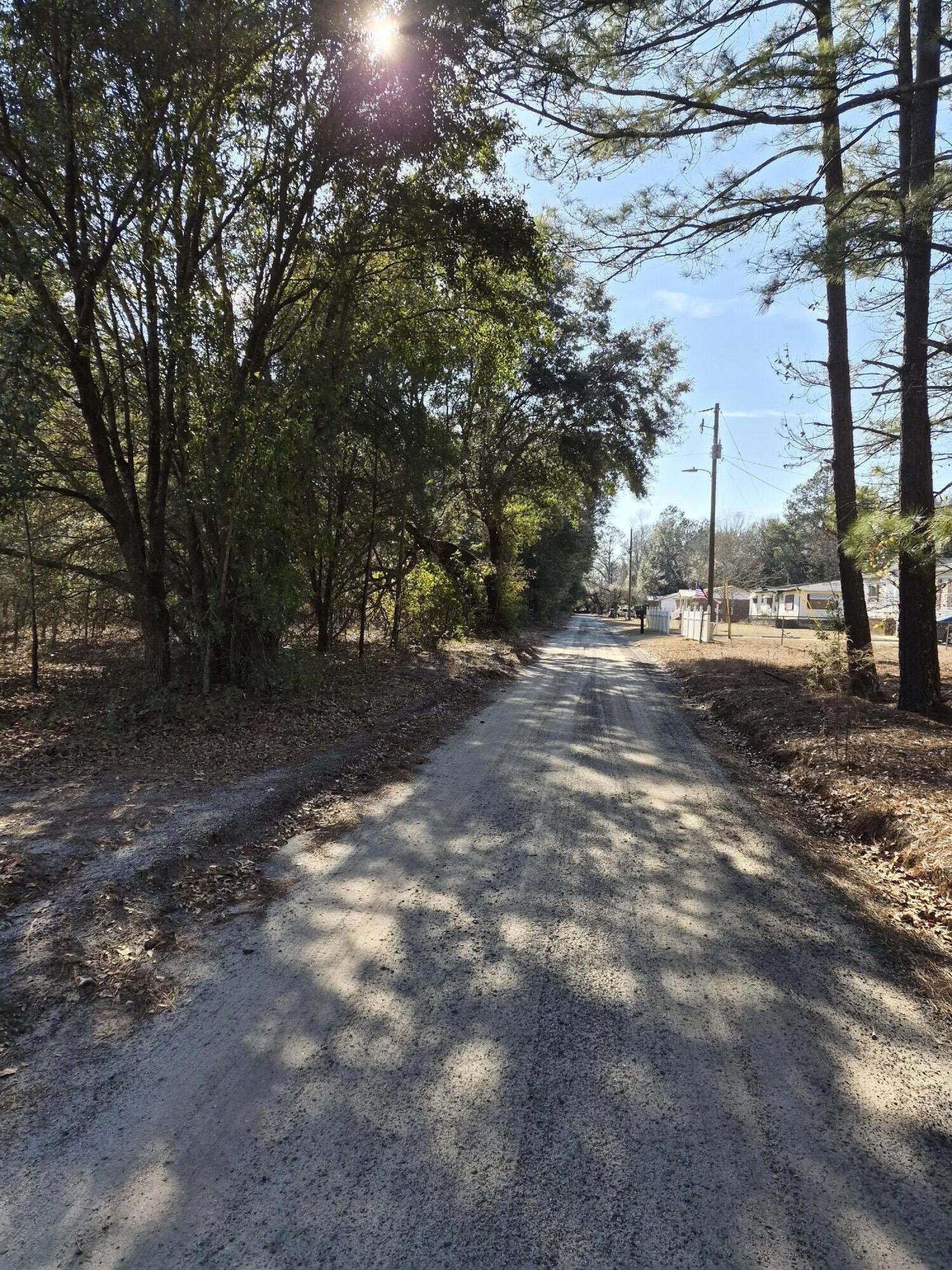 Mcclain Southeast Mcclain Se Mcclain Street Southeast, Unit TRACT 3 North, SC 29112 - Photo 6 of 7