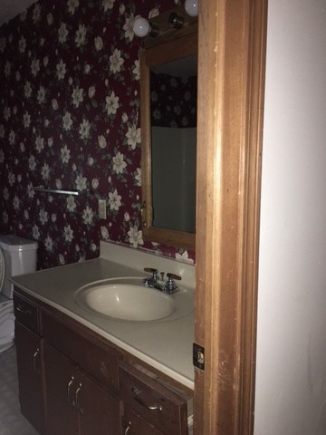 304 East Beech Street Chatsworth, IL 60921 - Photo 16 of 16 a sink with a mirror