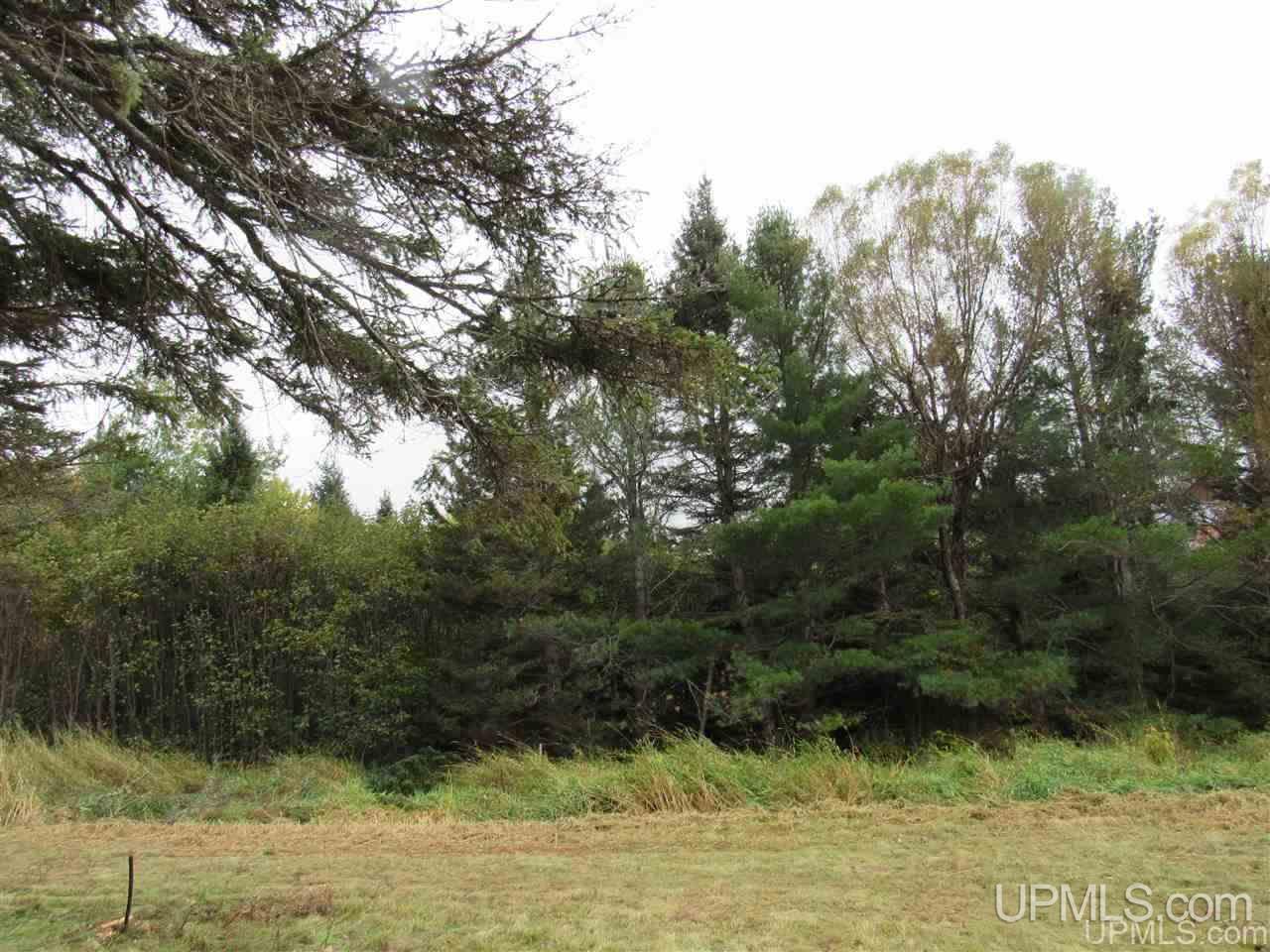 39621 Tapiola Road Chassell, MI 49916 - Photo 11 of 29 Gallery Image 11