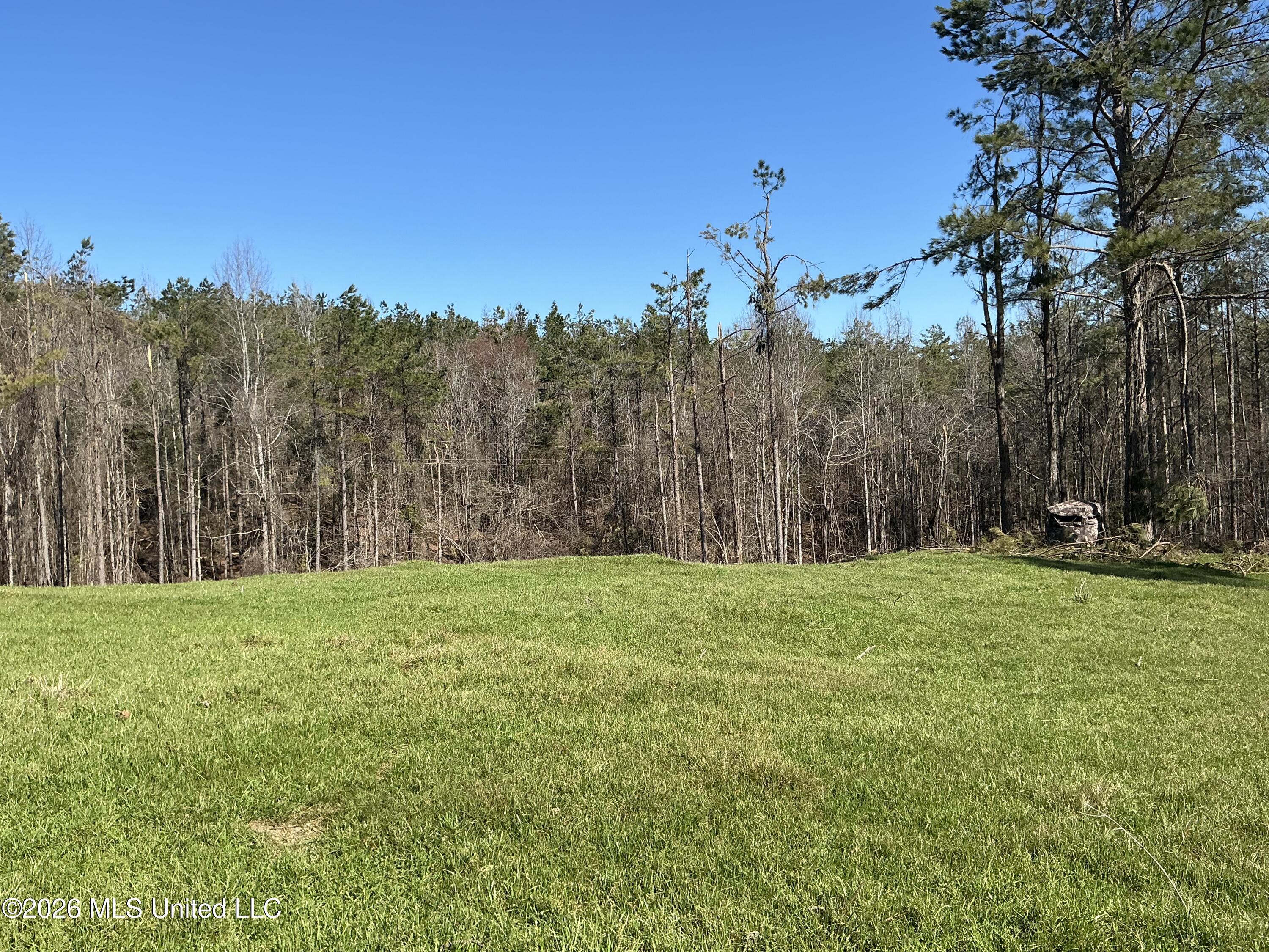 Norwood Road Carrollton, MS 38917 - Photo 14 of 28 IMG_0665