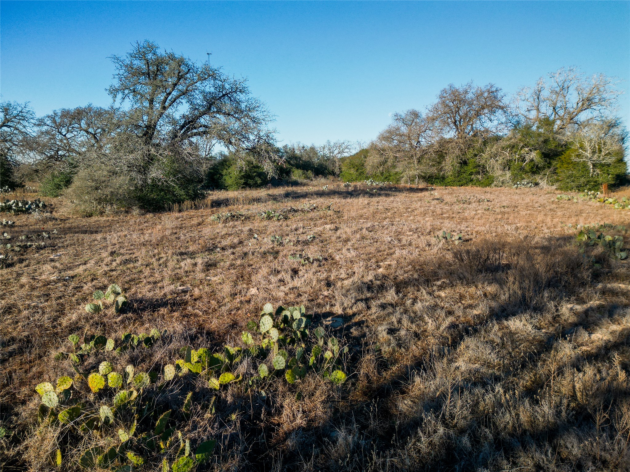 0 Sandy Pine Road Luling, TX 78648 - Photo 25 of 27 a view of mountain view with beach
