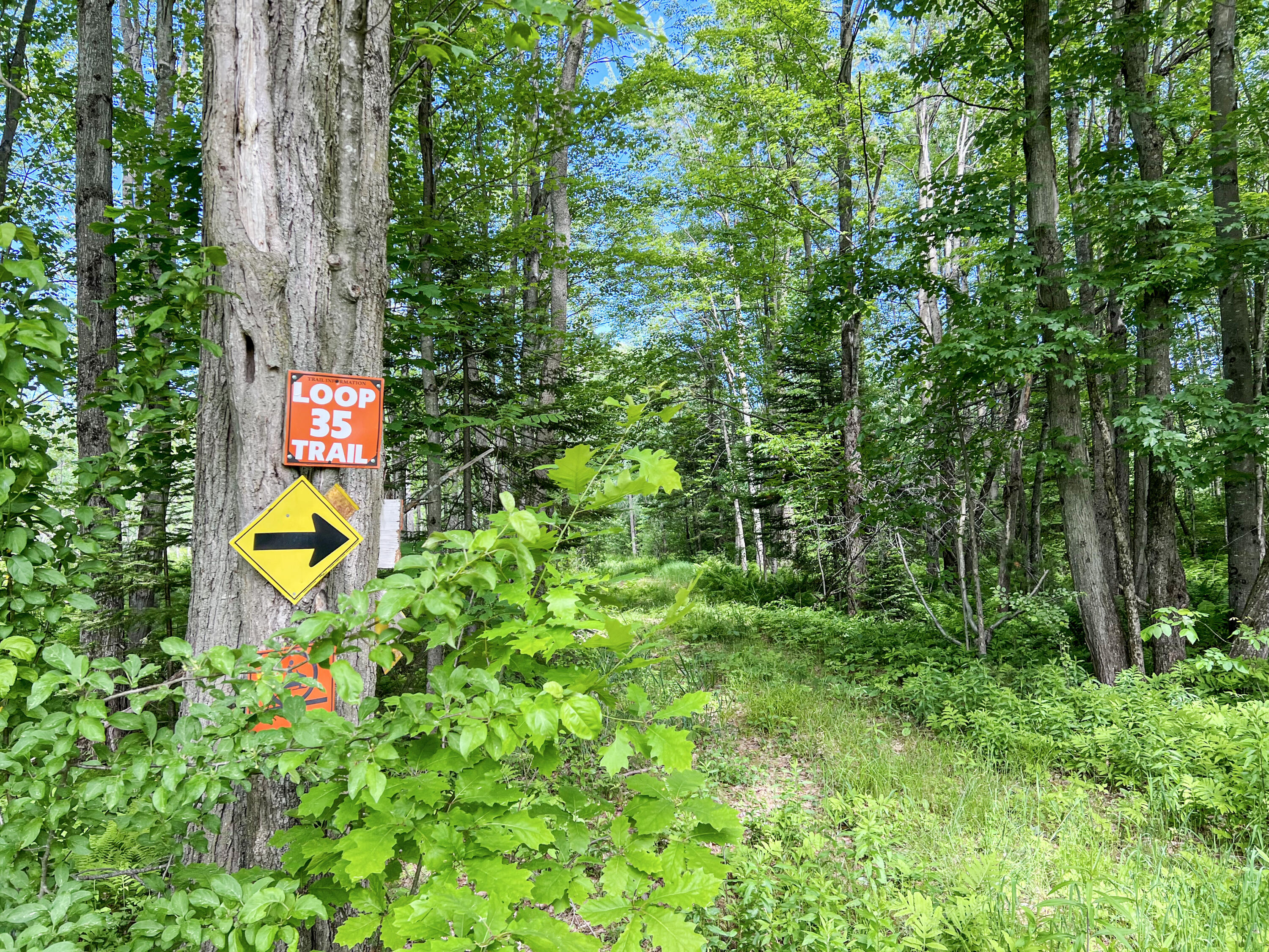 109 Cobb Road Turner, ME 04282 - Photo 13 of 47 IMG_1732