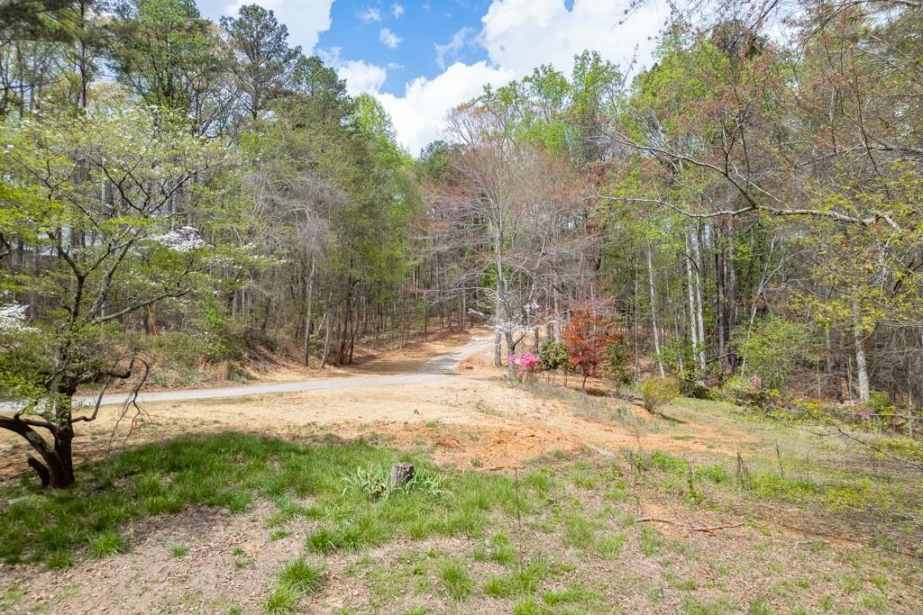 7925 Lotus Walk Cumming, GA 30041 - Photo 11 of 14