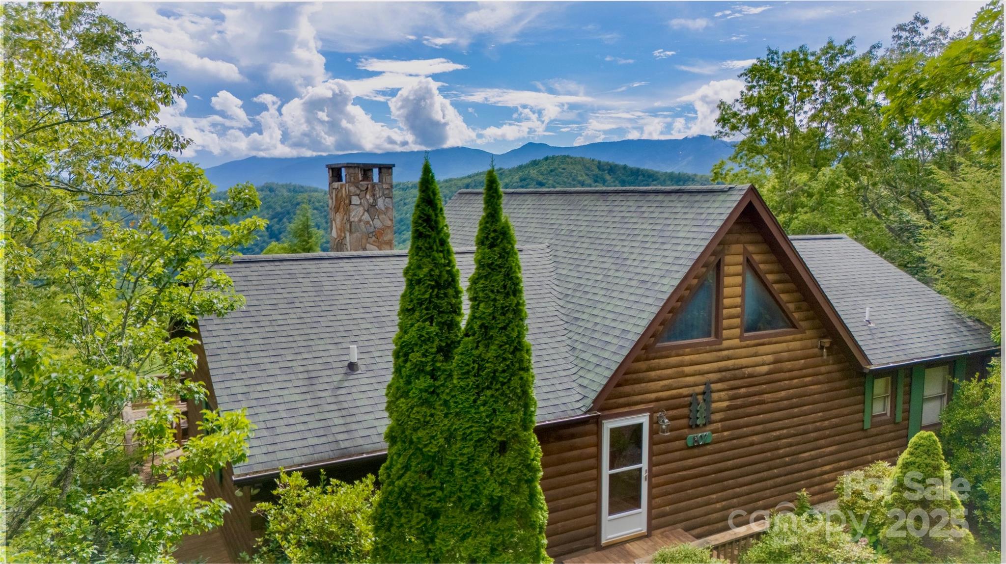 807 Pine Tree Road Spruce Pine, NC 28777 - Photo 2 of 48