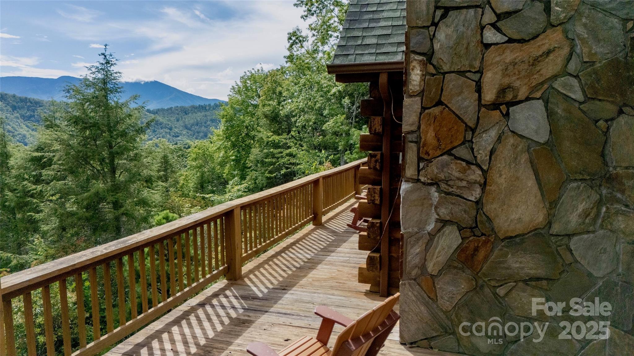 807 Pine Tree Road Spruce Pine, NC 28777 - Photo 3 of 48