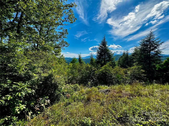 $635,000 | 807 Pine Tree Road, Spruce Pine, NC 28777