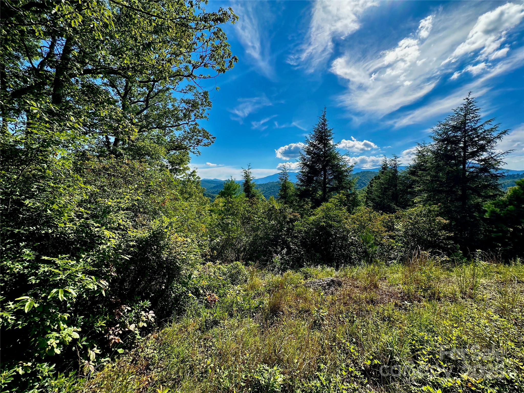 807 Pine Tree Road Spruce Pine, NC 28777 - Photo 32 of 48