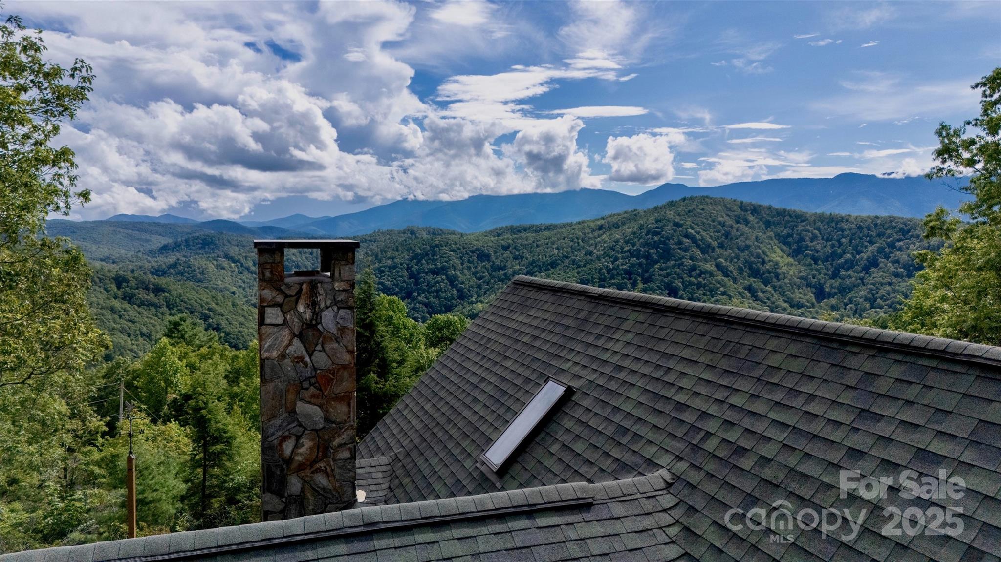 807 Pine Tree Road Spruce Pine, NC 28777 - Photo 33 of 48