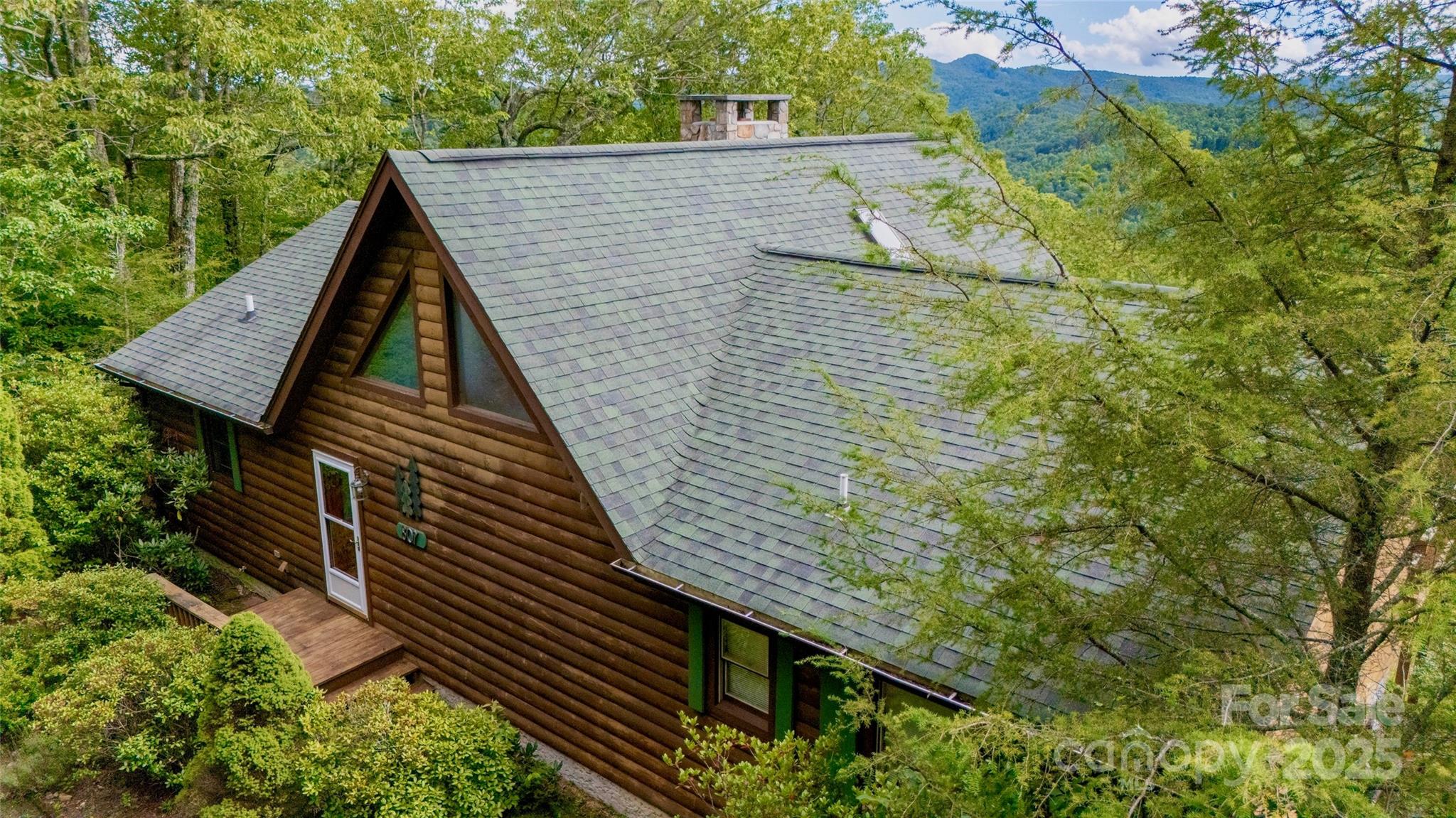 807 Pine Tree Road Spruce Pine, NC 28777 - Photo 36 of 48