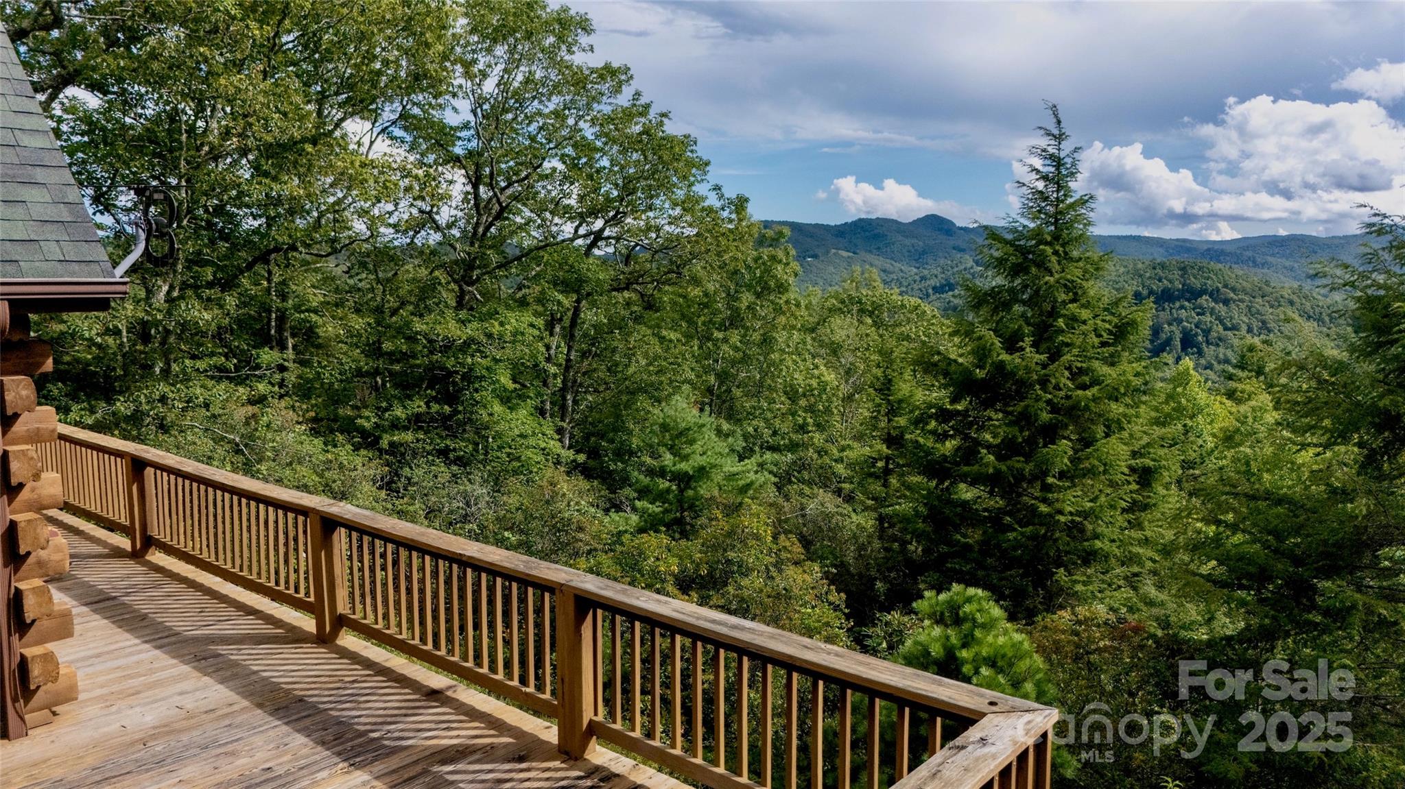 807 Pine Tree Road Spruce Pine, NC 28777 - Photo 37 of 48