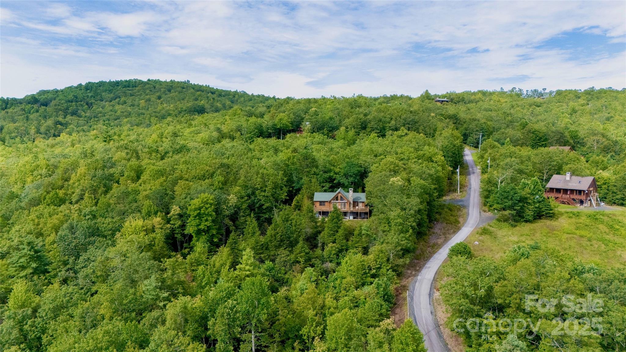 807 Pine Tree Road Spruce Pine, NC 28777 - Photo 39 of 48