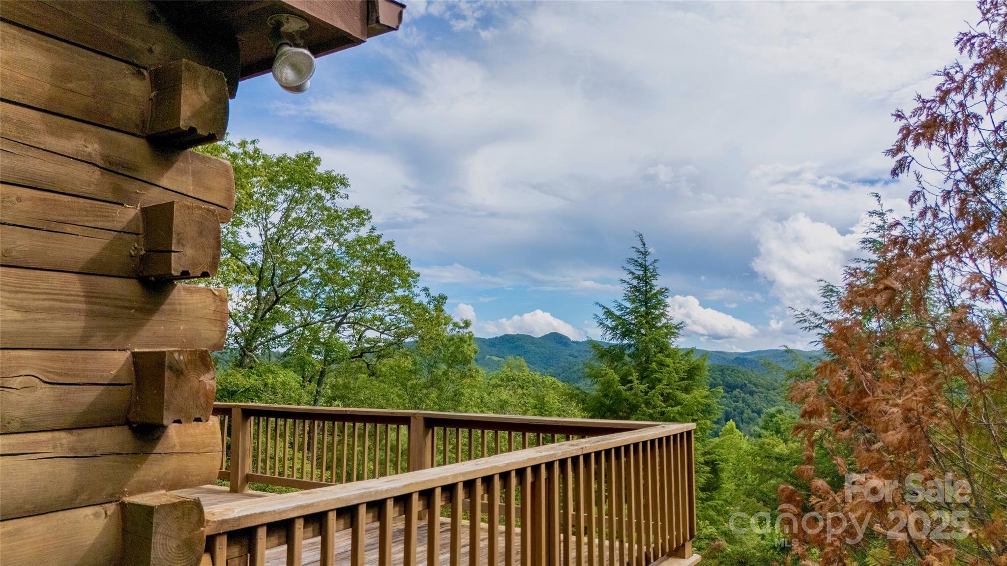 807 Pine Tree Road Spruce Pine, NC 28777 - Photo 42 of 48