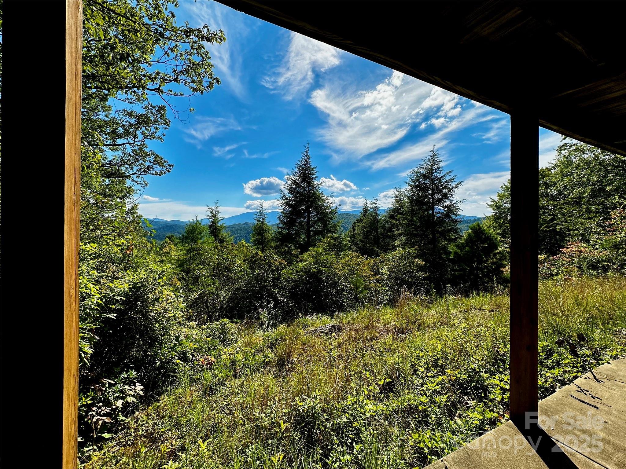 807 Pine Tree Road Spruce Pine, NC 28777 - Photo 47 of 48