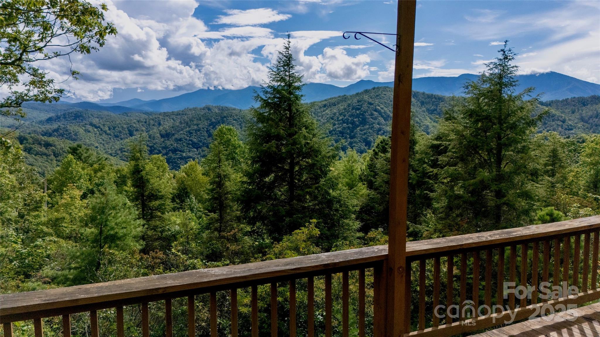 807 Pine Tree Road Spruce Pine, NC 28777 - Photo 5 of 48